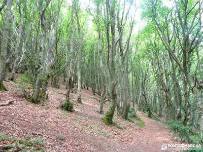 Sierra Toloño,Rioja Alavesa; raquetas para la nieve senderos cazorla viajar en nochevieja